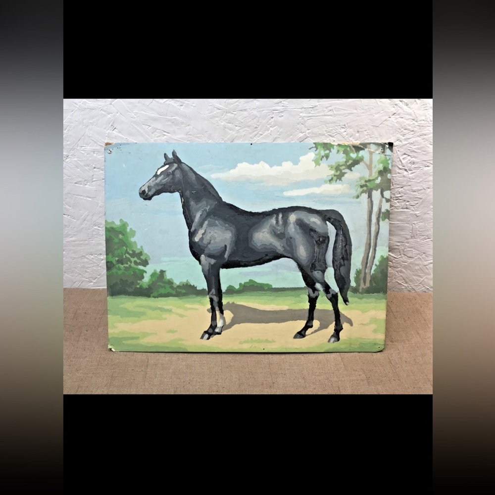 Vintage Finished Paint by Number Gray Black Horse with Shadow in Field 16x12 PBN